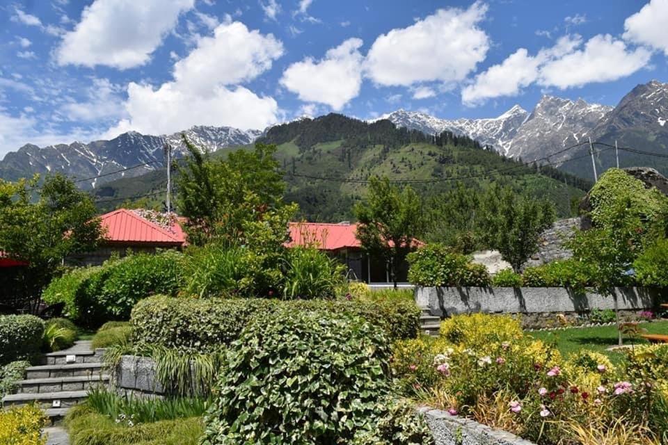 The Amrit Manali 2&3 Bhk Villas المظهر الخارجي الصورة